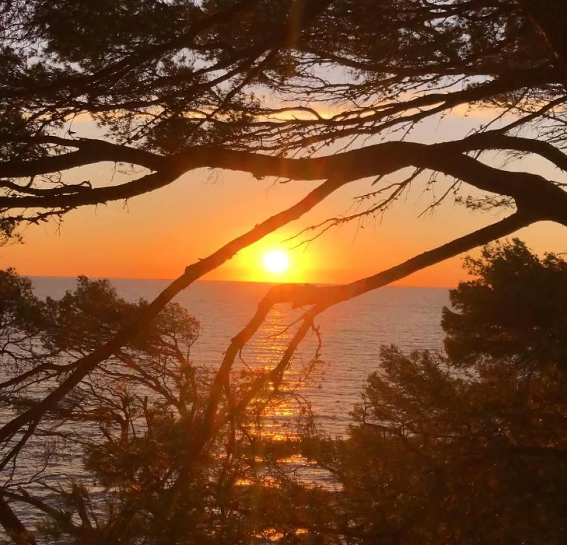 Studio Bandolais Paisible Et Proche Des Plages Bandol